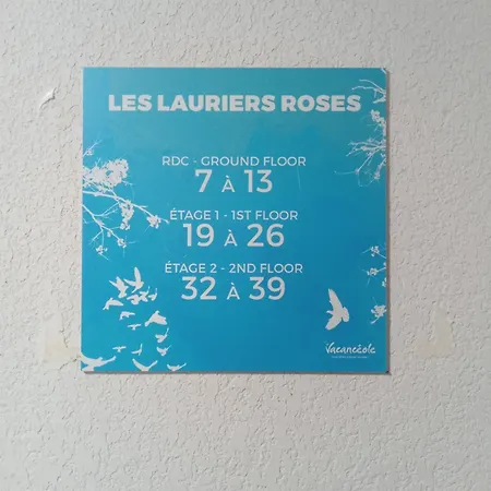 Location Saisonniere Ile D'or 라론드레모레